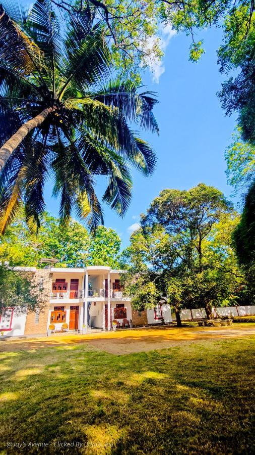 Jay'S Avenue Hotel Udawalawe Esterno foto